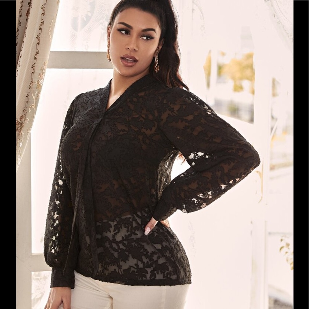 Never Been Worn Jacquard Appliqué Chiffon V-neck